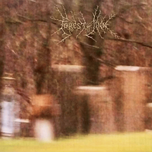 Forest Of Jinn : Forgotten by Ignorance